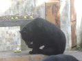 IMGP0819.JPG